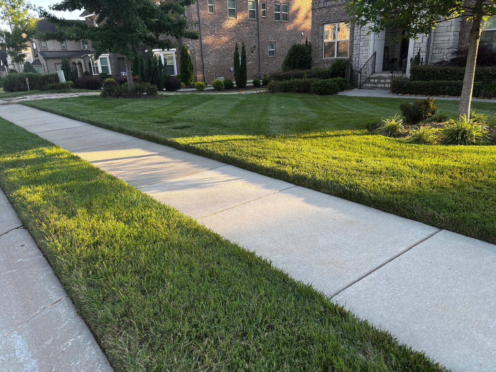 Weekly curb appeal reset