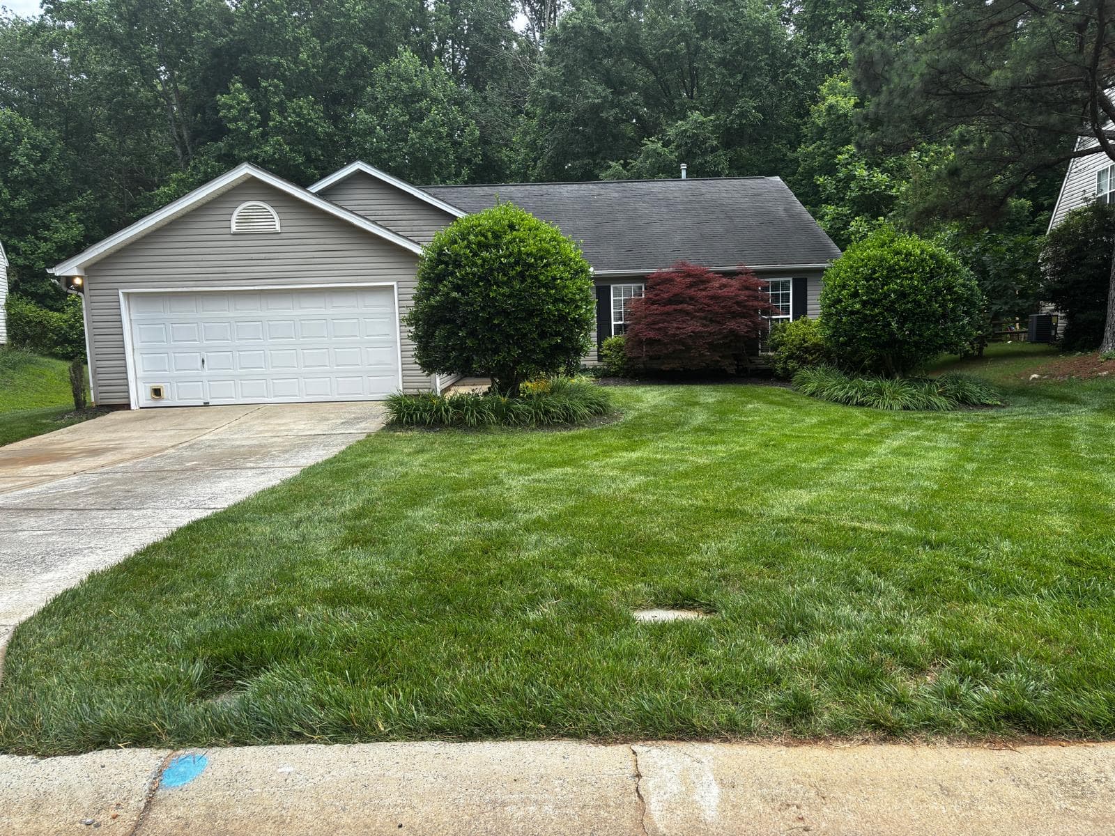 Consistent lawn care